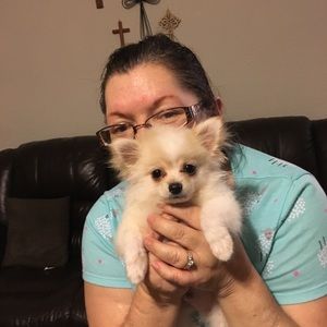 Meet your Posher, Debi